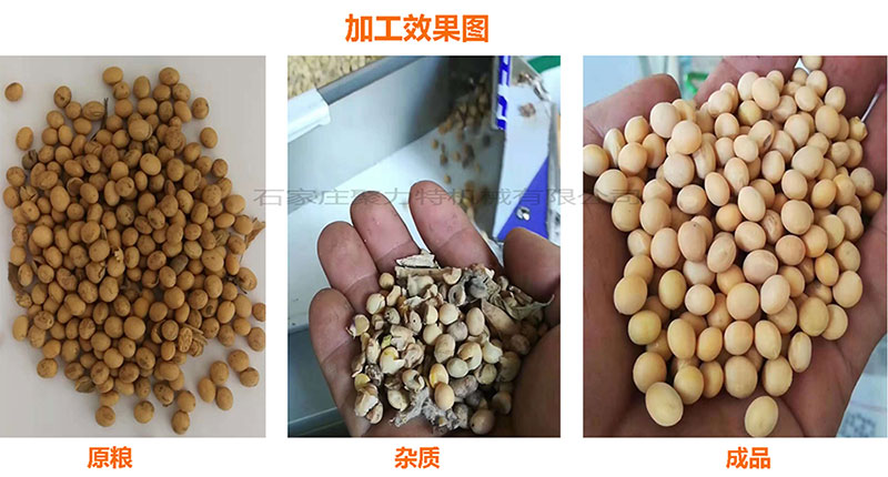 1590028761399592.jpg 黃豆加工效果圖.jpg